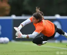 manbetx-荷兰退役名宿现身球场,为球队助威的是谁